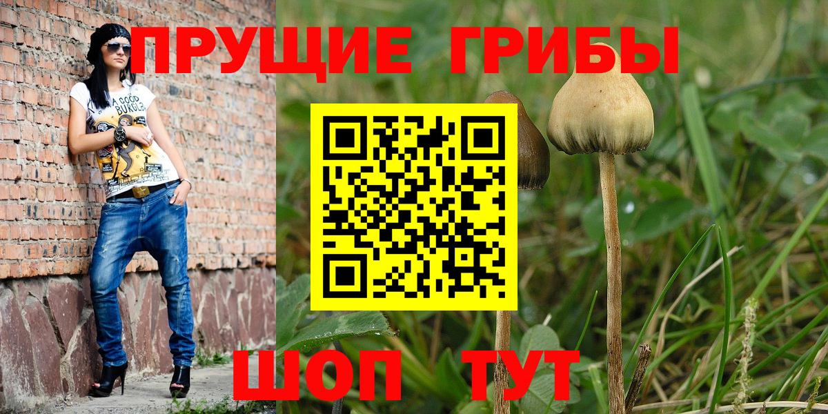 Галлюциногенные грибы GOLDEN TEACHER  Вход с VPN  Черкесск 